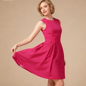 Dynamite pink/fuchsia pleated Fit and flare skater dress
